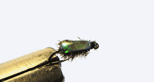 UV Resin Beetle by Jonothan Hoyle (image ©Joel Barrow 2012)