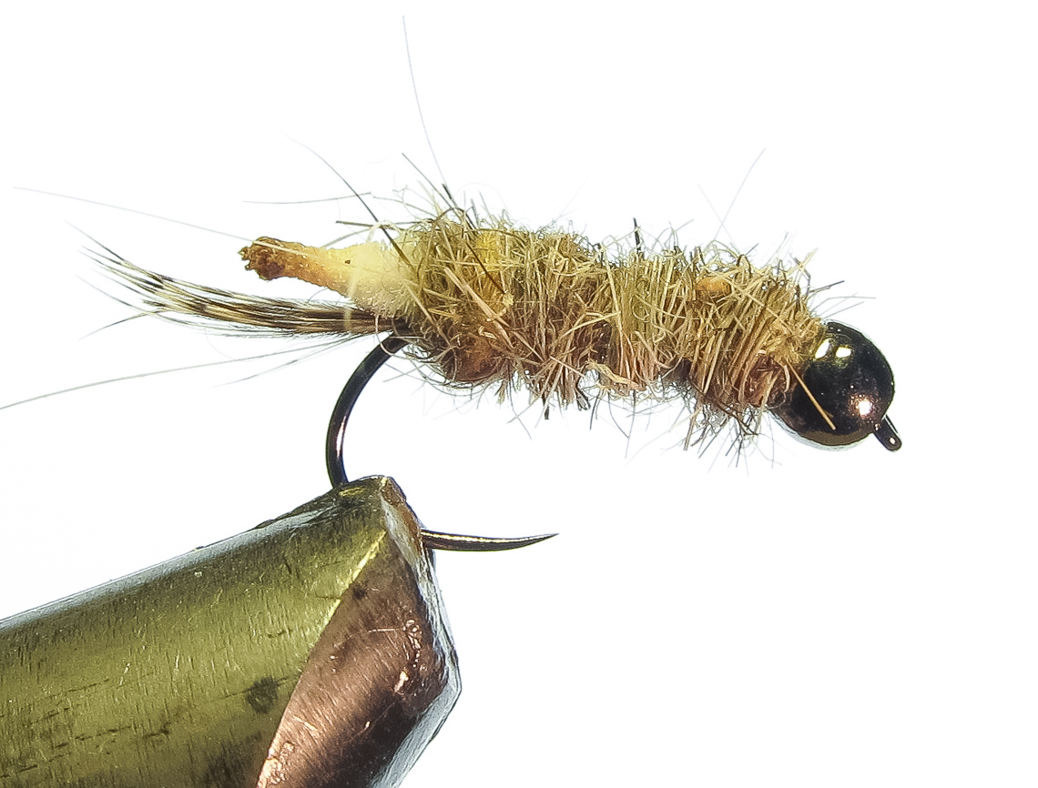 Cased caddis by Jonathan Hoyle