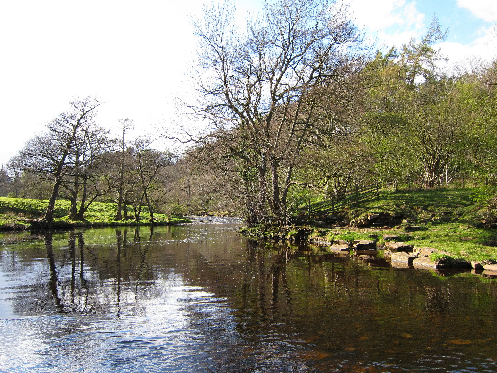 The River Cover in early spring