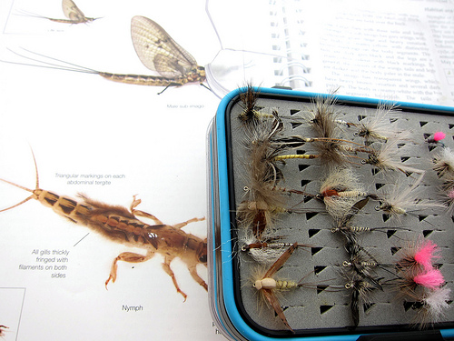 Preparing for the Mayfly hatch