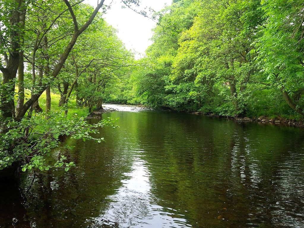 The river Nidd at Pateley Bridge