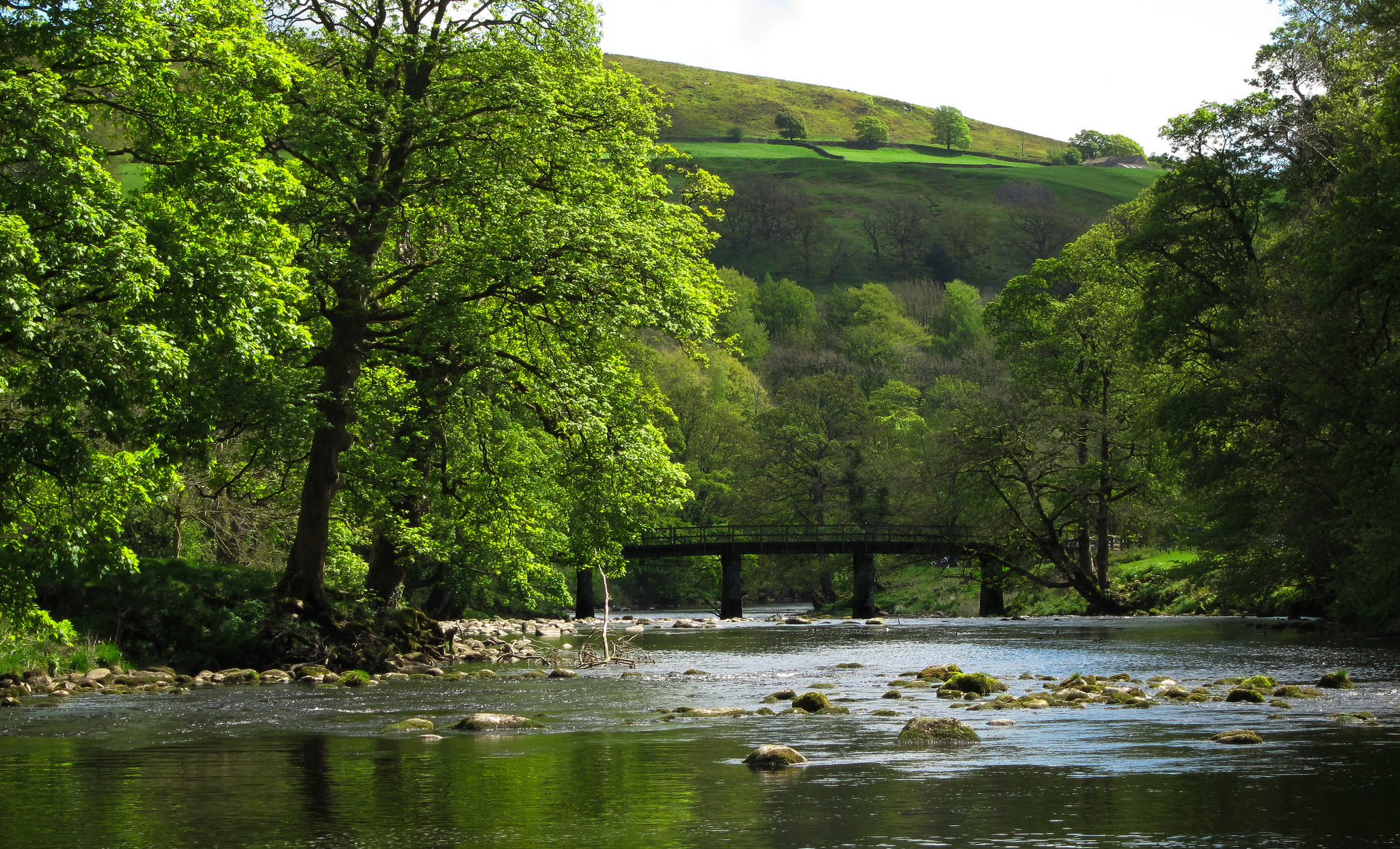 View looking downstream from the start of the woods to Cavendish