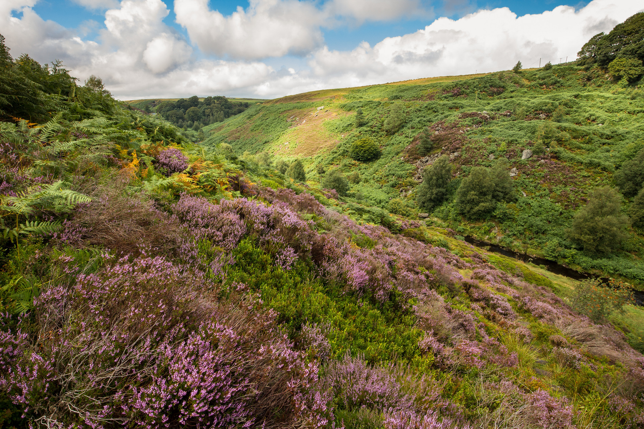 Descending the steep steps to the beck