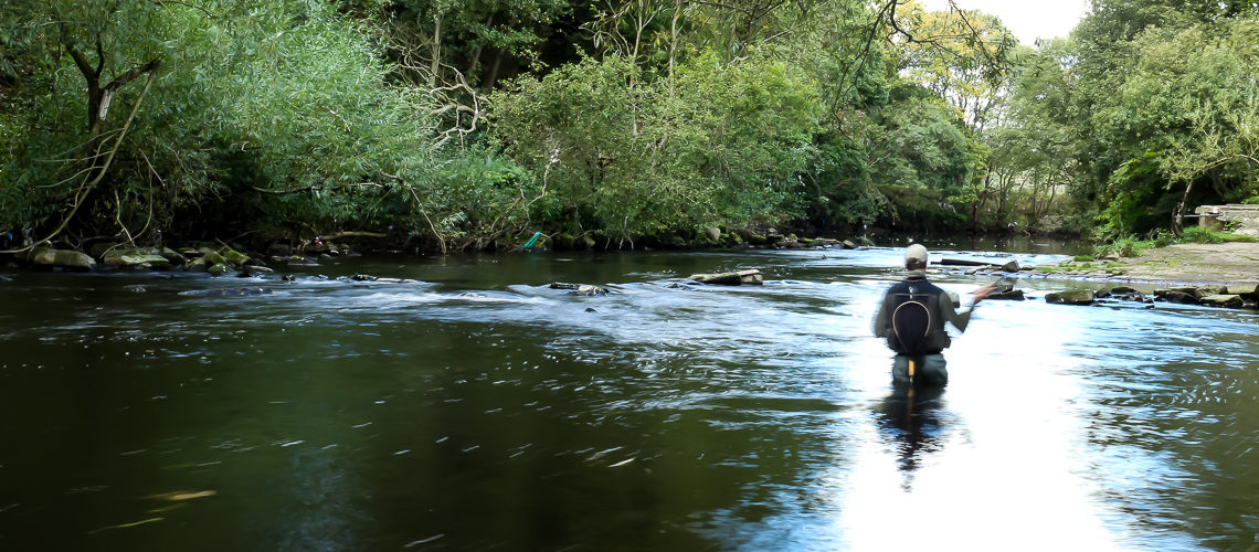 Jonathan Hoyle fishing the weir above Copley Bridge, River Calder near Halifax