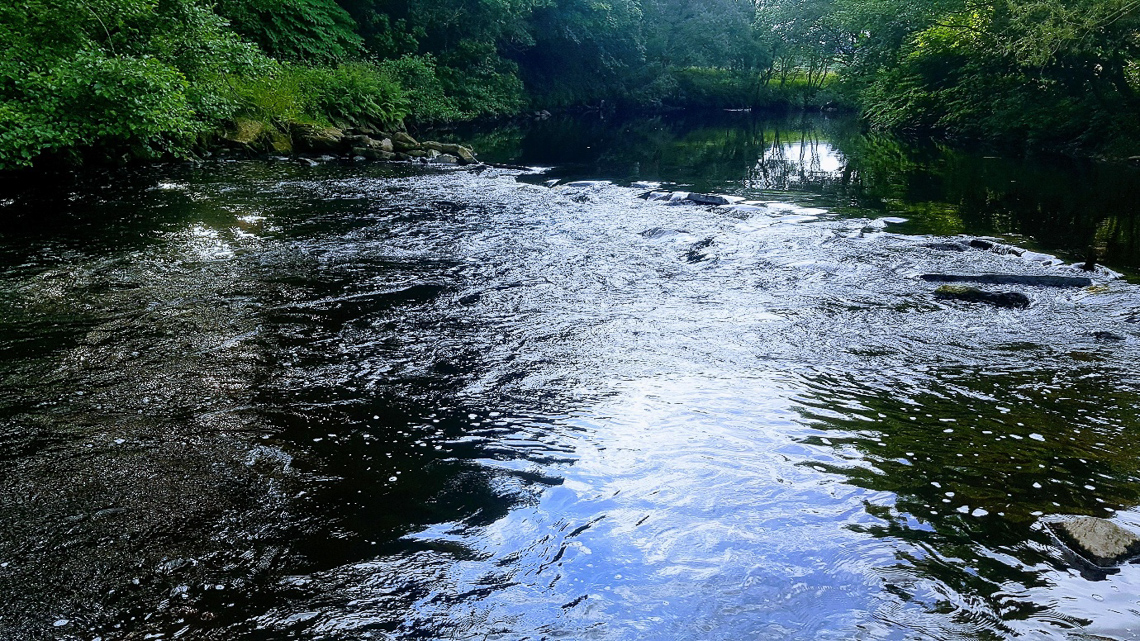 Image: Typical Spanish Nymph water